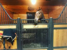 Image result for Stoneleigh Riding Club