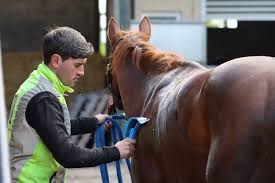 Image result for heiss tehron