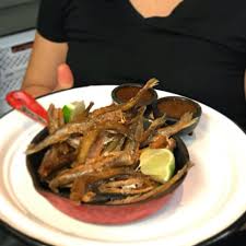 Attēlu rezultāti vaicājumam “Charales”