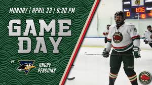 Image result for Piranhas Inline Hockey Club