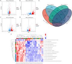Attēlu rezultāti vaicājumam “Diderma roanense macro”