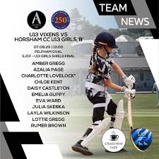 Image result for Aldwick Cricket Club