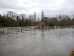Image result for Runnymede Angling Association