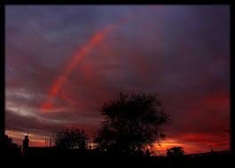 Attēlu rezultāti vaicājumam “Red Rainbows”