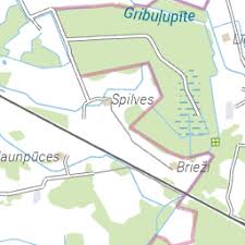 Attēlu rezultāti vaicājumam “Licea testudinacea sessile”