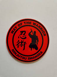 Image result for Swansea Taekwondo Club