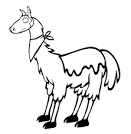 Llama coloring page