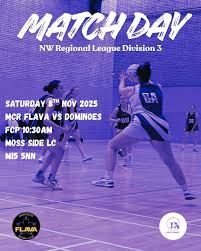 Image result for Flava Netball Club