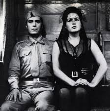 Attēlu rezultāti vaicājumam “Fuligo licentii young”