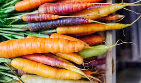 Image result for Möhren