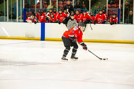 Image result for Basingstoke Buffalo