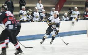 Image result for Romford Raiders