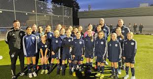 Image result for Meadows Sports Association