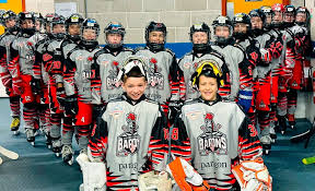 Image result for Telford Junior Ice Hockey Club