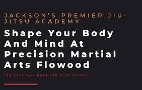 Image result for Precision Martial Arts