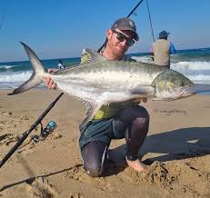 Image result for Lichia amia