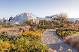 Image result for Piet Oudolf