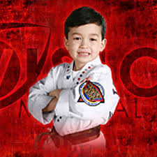 Image result for Vision Martial Arts