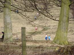 Image result for Alnwick Harriers