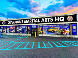 Image result for Martial Art Centre of Excellence