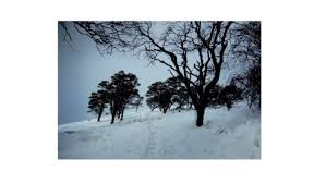 Image result for Walkington Bowling Club