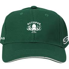Image result for Octopus Cricket Club