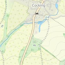 Image result for Midhurst Milers