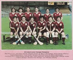 Image result for St Rita`s Camogie Club