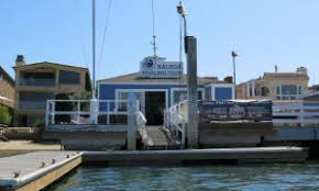 Image result for ALBION SEA FISHING CLUB
