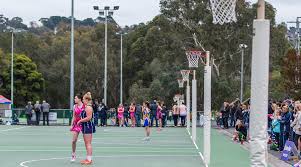 Image result for Waverley Netball Club
