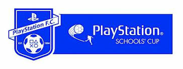 Image result for Thames Ditton Schools Fc