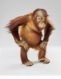 Image result for jill greenberg