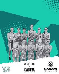 Image result for Minchenden Netball Club