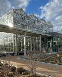 Attēlu rezultāti vaicājumam “Diachea muscorum stalked”