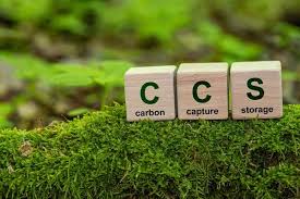 Image result for Drax Cc