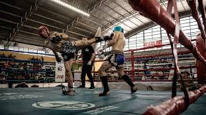 Image result for WREXHAM THAI BOXING
