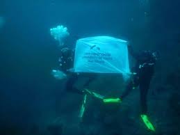 Image result for TAL Divers
