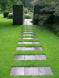 Attēlu rezultāti vaicājumam “Herniaria glabra flower”