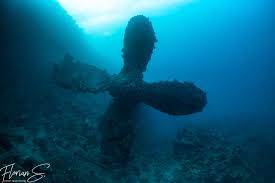 Image result for Calshot Sub-Aqua Club