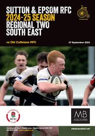 Image result for Colfeian Sports Club