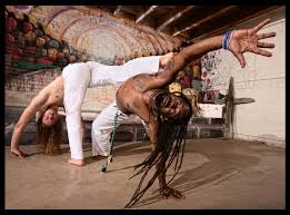 Image result for Brazilian-martial arts