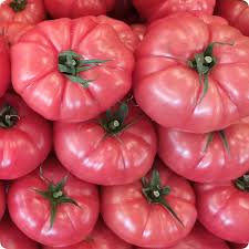 Afbeeldingsresultaat voor Pink Brandywine tomato