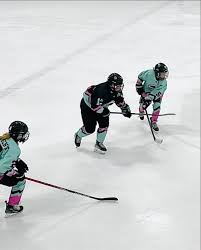 Image result for Pontypool Skater Hockey Club