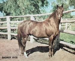 Image result for Bletchingly Badminton Club