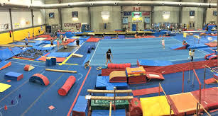 Image result for Abbey Gymnastics Club