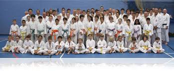 Image result for Independent Wadoryu Karate Federation