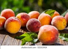 Attēlu rezultāti vaicājumam “Prunus domestica subsp. insitita fruit”