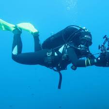 Image result for Peninsula Sub Aqua