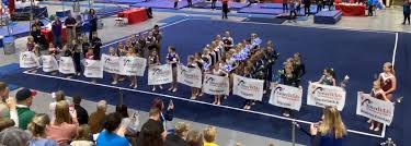 Image result for Lincoln Gymnastics Club