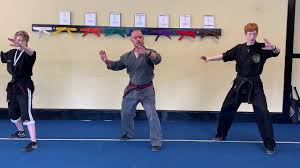 Image result for Phoenix Martial Arts
